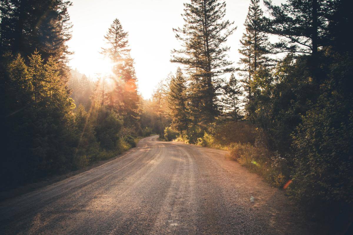 Photo by Trevor Wilson on Unsplash
