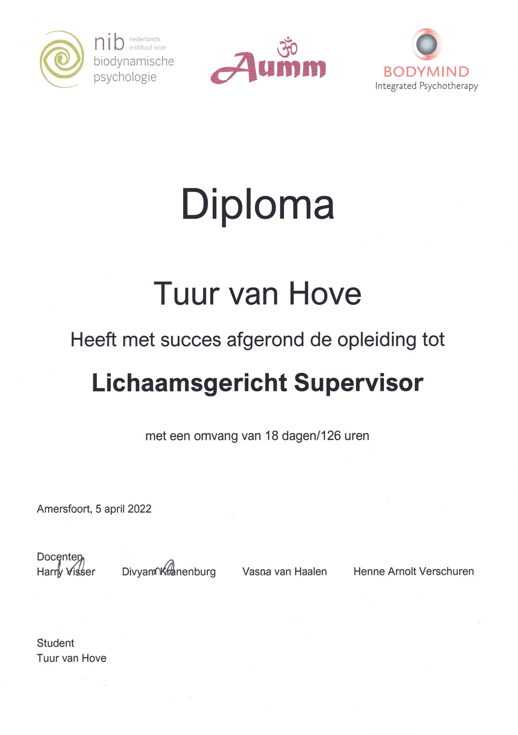 Diploma Supervisor